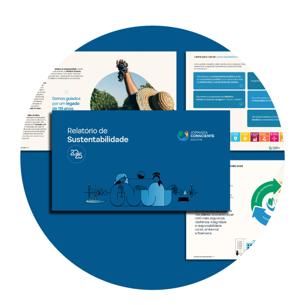 <p>Relat&oacute;rio de Sustentabilidade 2025</p>