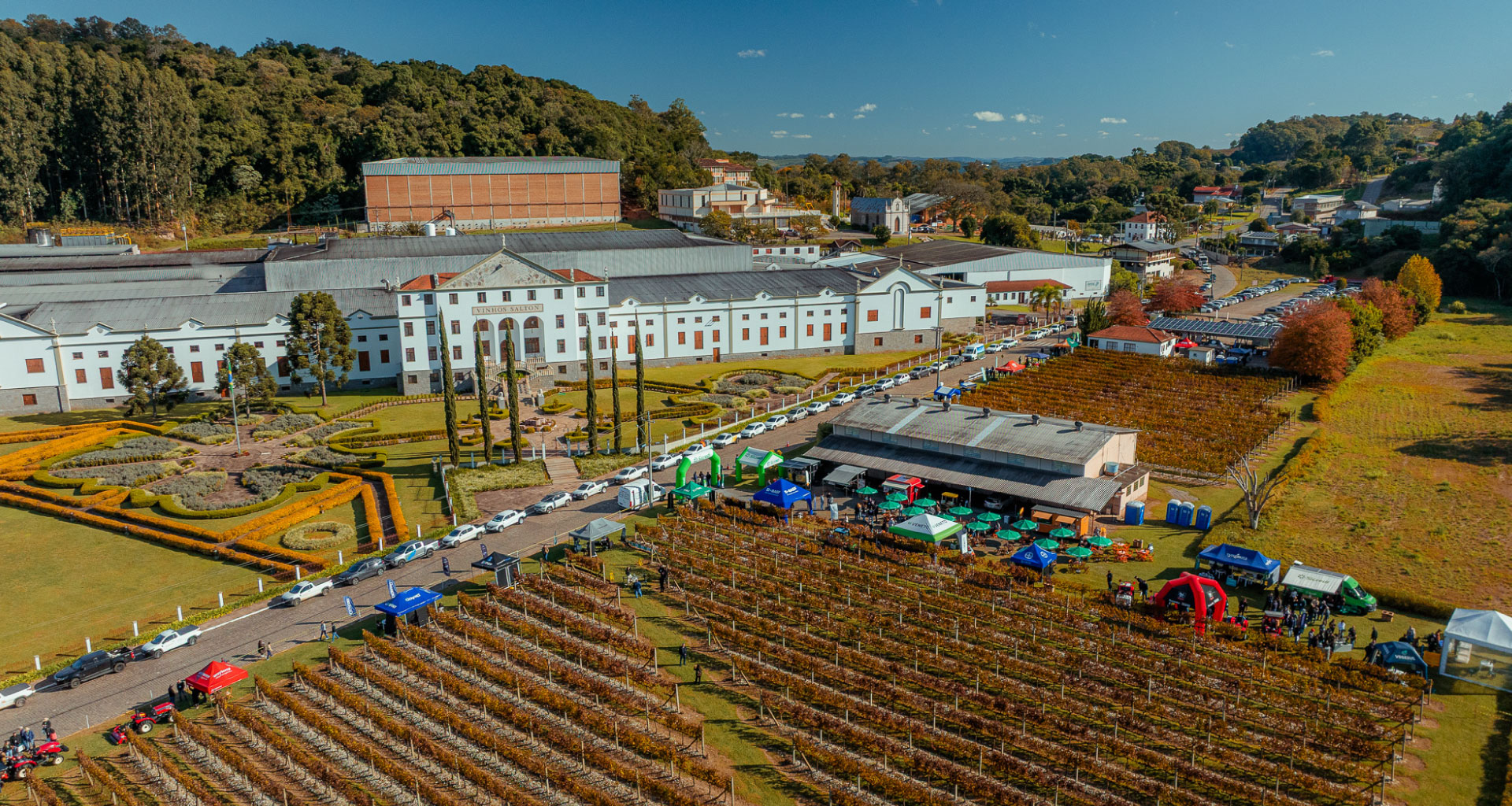 Salton reúne 500 pessoas no Ciclos & Vinhas e apresenta vinhedos 100% livres de herbicida    