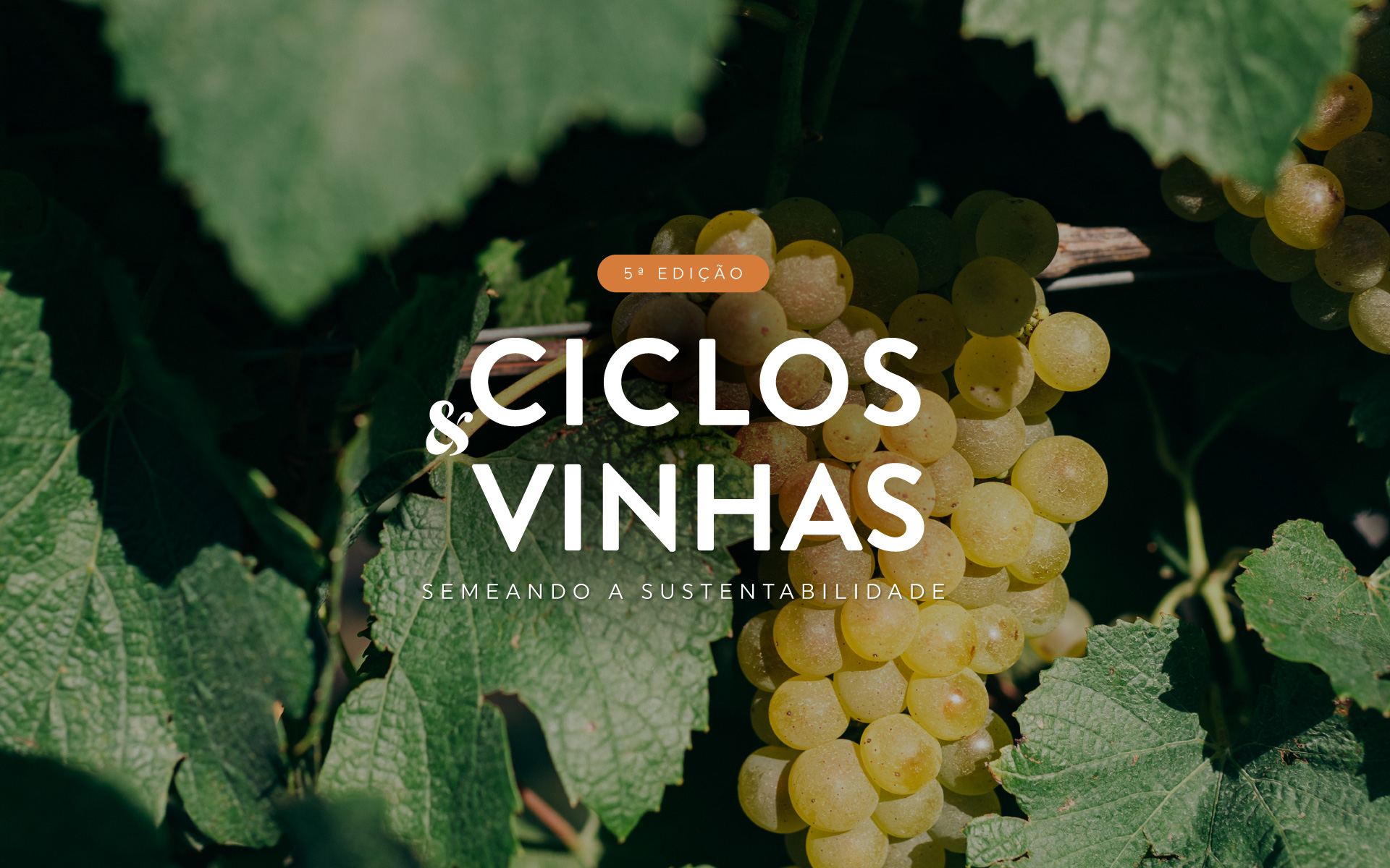 Salton reúne 500 pessoas no Ciclos & Vinhas e apresenta vinhedos 100% livres de herbicida    