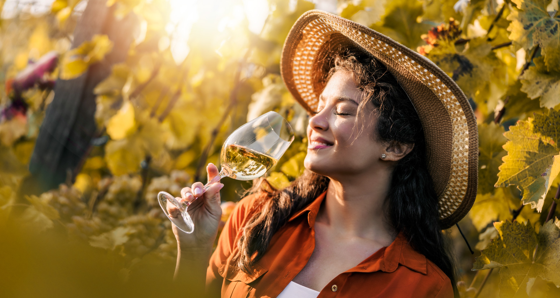 Vinhos e espumantes veganos: entenda o que são e como são elaborados