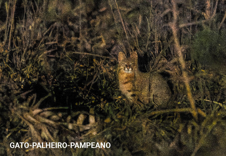 Cuidado com a Biodiversidade