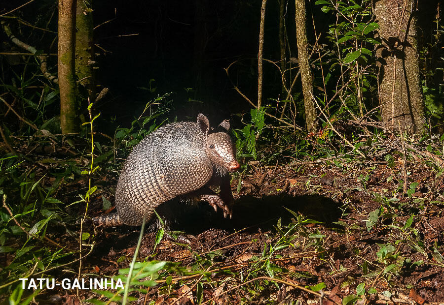 Cuidado com a Biodiversidade